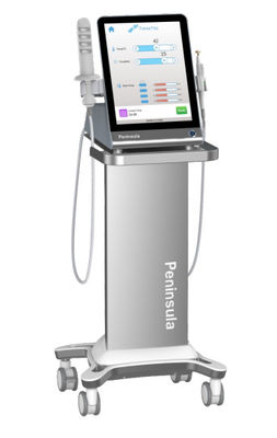 calidad  Peninsula Factory Non Surgical Therapy Vaginal Rejuvenation Radio Frequency For Clinical Fábrica